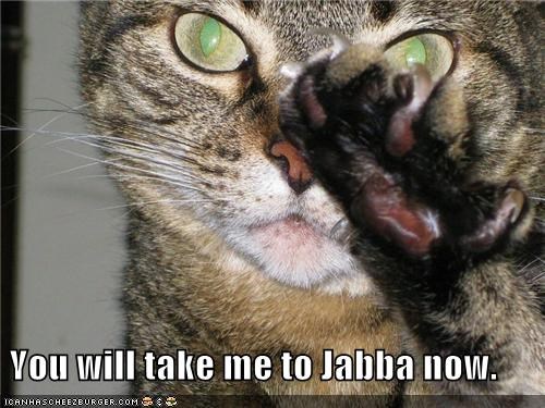 You will take