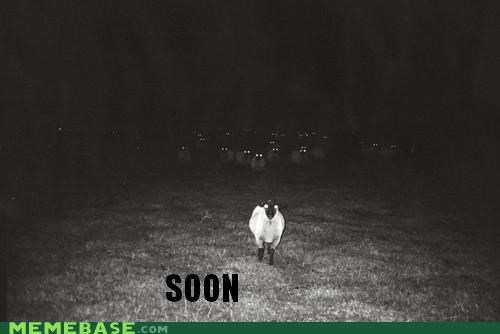 The Time Has Come to BAH-RAM-EWE