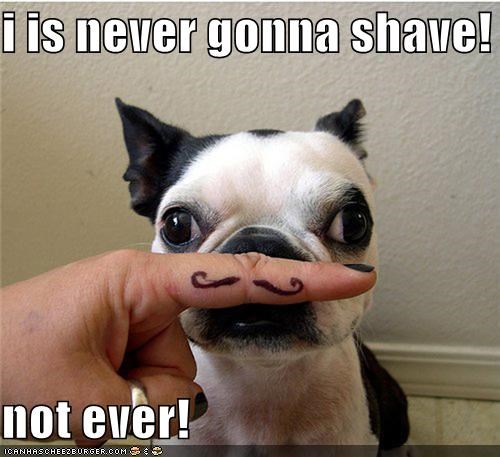 i is never gonna shave!  not ever!