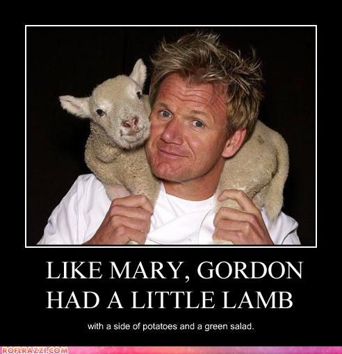 LIKE MARY, GORDON HAD A LITTLE LAMB