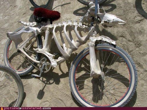 An Old Bike