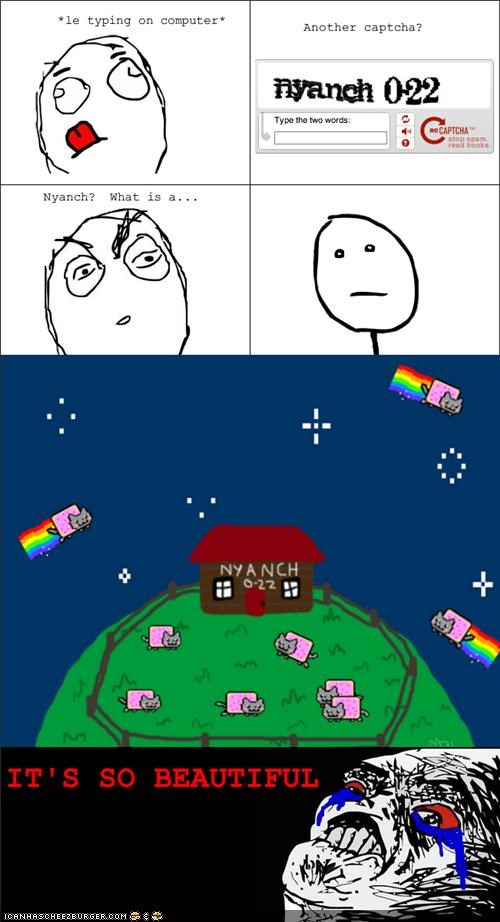 MemeCats: Where Nyan Cat Comes From
