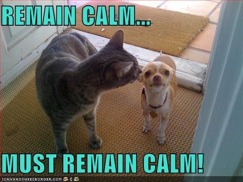 REMAIN CALM...  MUST REMAIN CALM!