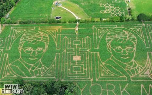 Corn Maze WIN