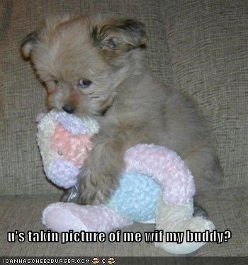 u's takin picture of me wif my buddy?