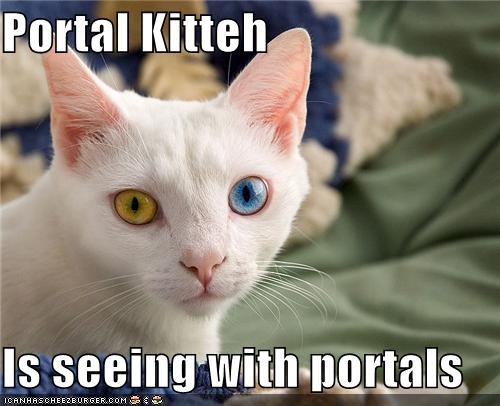 Portal Kitteh