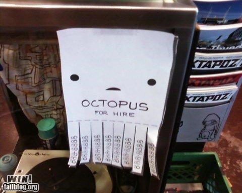 Clever Octopus WIN