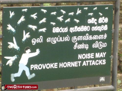 Then Again, What DOESN'T Provoke Hornet Attacks?