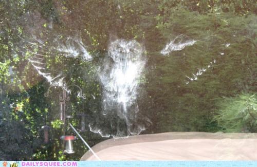 Whatsit Wednesday: IRL Patronus Charm