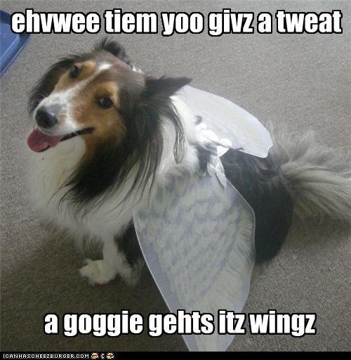 Tweats