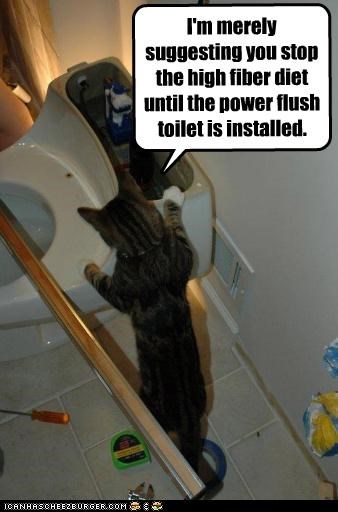 I'm merely suggesting you stop the high fiber diet until the power flush toilet is installed.
