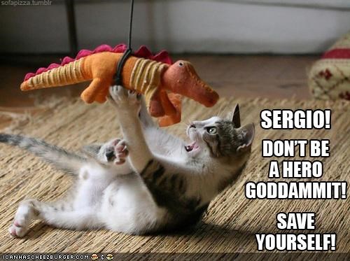 No Kitteh Left Behind!