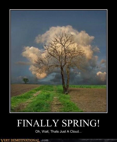 FINALLY SPRING!