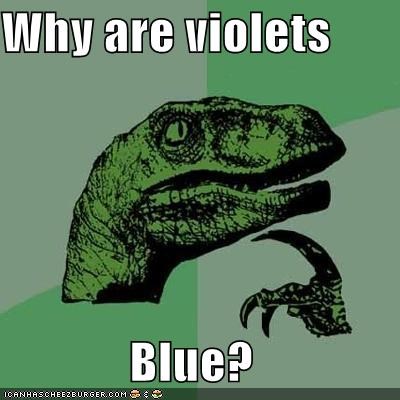 Why are violets  Blue?
