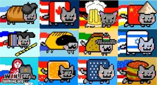 Nyan Cats Around the World WIN
