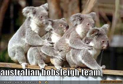 australian bobsleigh team