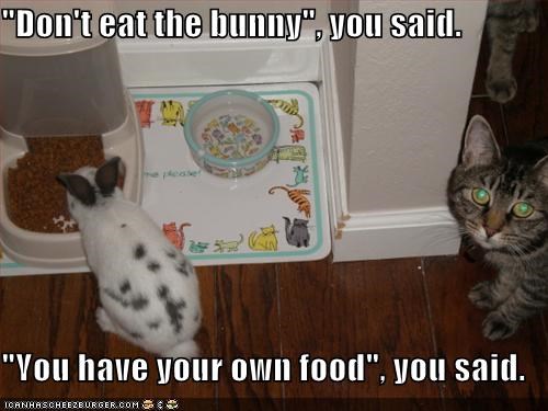 "Don't eat the bunny", you said.