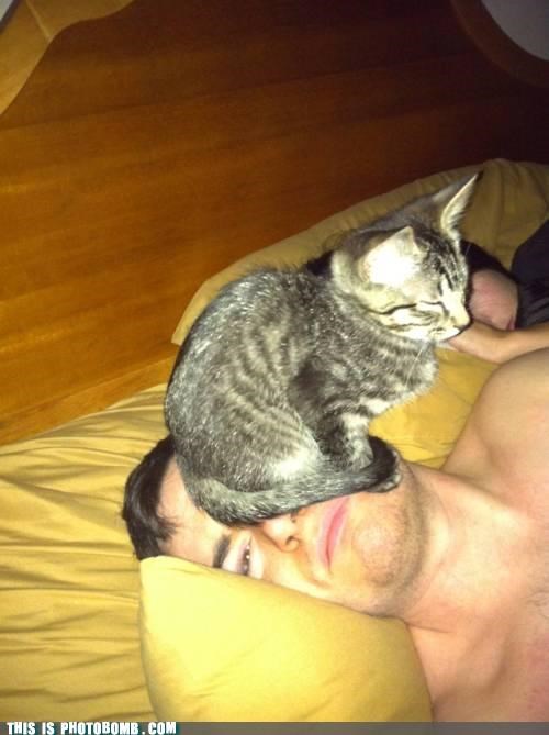 Face? Litter Box? Same Difference. 