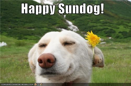 Happy Sundog!