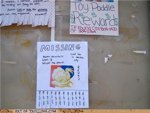 Anyone Seen My Poddle?