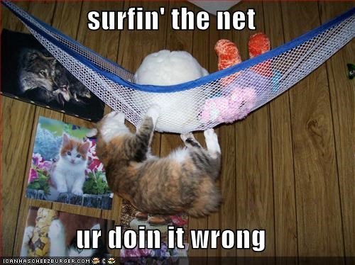 surfin' the net  ur doin it wrong