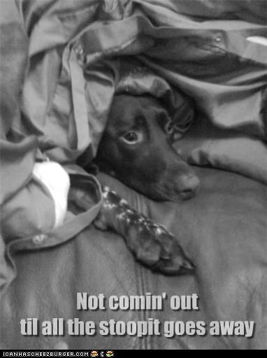Not comin out