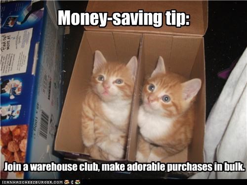 That's a good price for 6 pounds of cuteness!