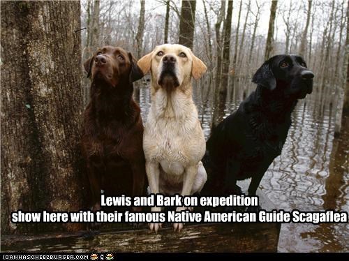Lewis and Bark