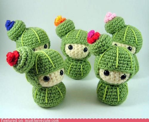 Cute Cacti