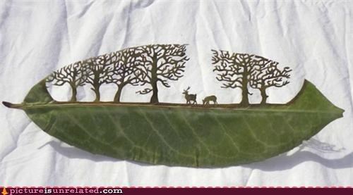 The Art of Nature