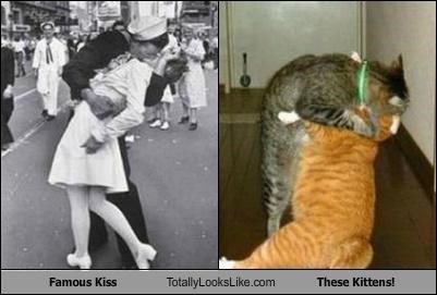 Famous Kiss Totally Looks Like These Kittens!