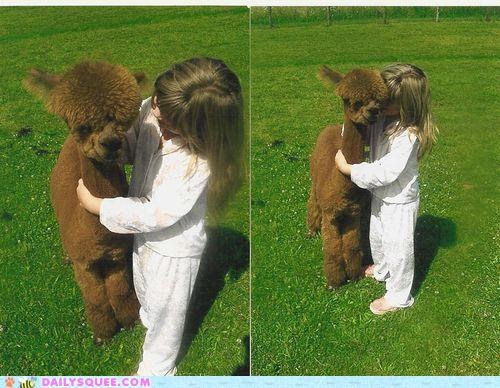 Interspecies Love: Mama, I Love This Llama!