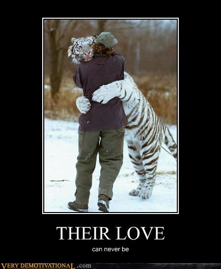THEIR LOVE