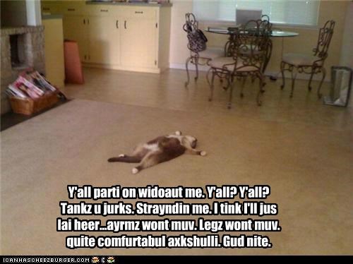 Y'all parti on widoaut me. Y'all? Y'all? Tankz u jurks. Strayndin me. I tink I'll jus lai heer...ayrmz wont muv. Legz wont muv. quite comfurtabul axkshulli. Gud nite.