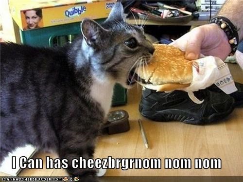 I Can has cheezbrgrnom nom nom