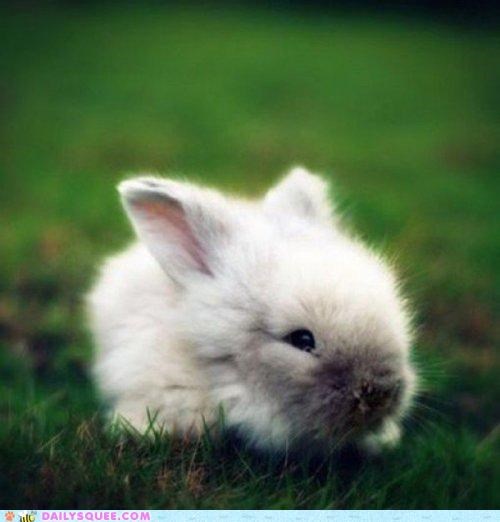 Happy Bunday!