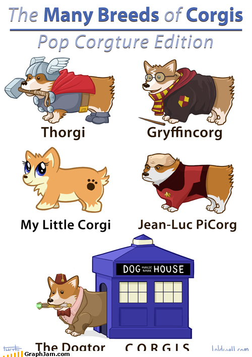 Pretty Sure Corgis Would Be Hufflepuffs