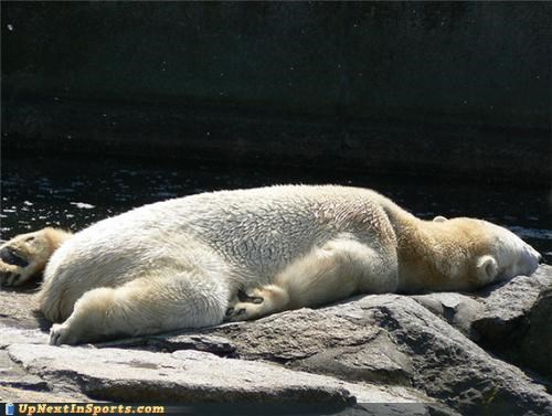 Planking: Arctic Edition