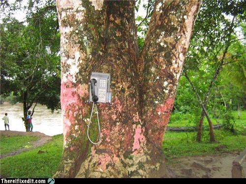 In Case of Emergency, Use The Phone Tree