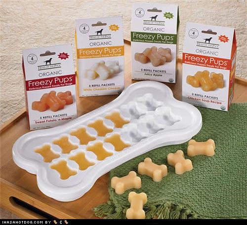 Freezy Pups-- The Summertime Treat for Your Goggie!