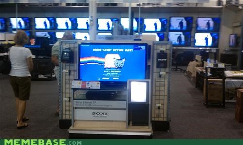 Nyan Invades Best Buy