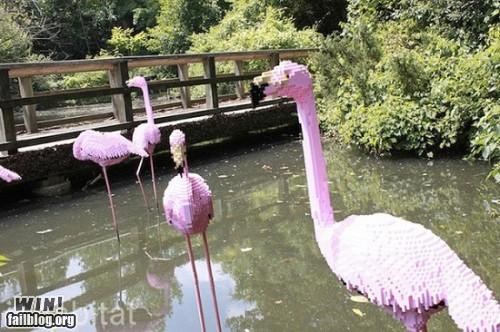 Lego Zoo WIN