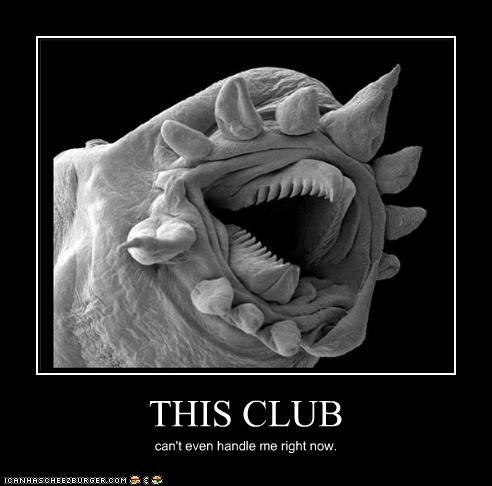 THIS CLUB