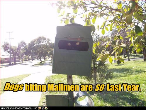 Dogs biting Mailmen