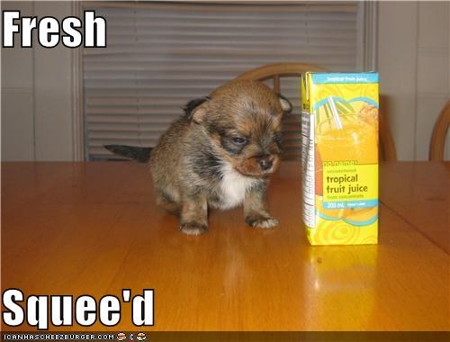 Fresh