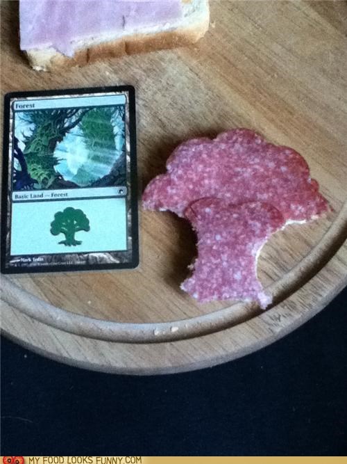 Salami Magic Forest