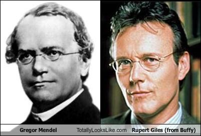Gregor Mendel Totally Looks Like Rupert Giles (Anthony Stewart Head)