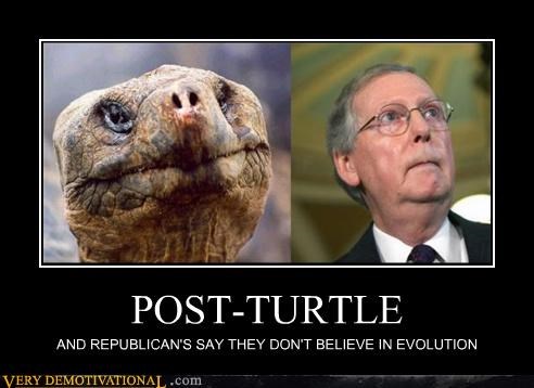 POST-TURTLE