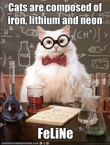 Chemistry Cat: Science and Puns, Together at Last!