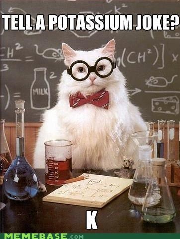 Introducing Chemistry Cat